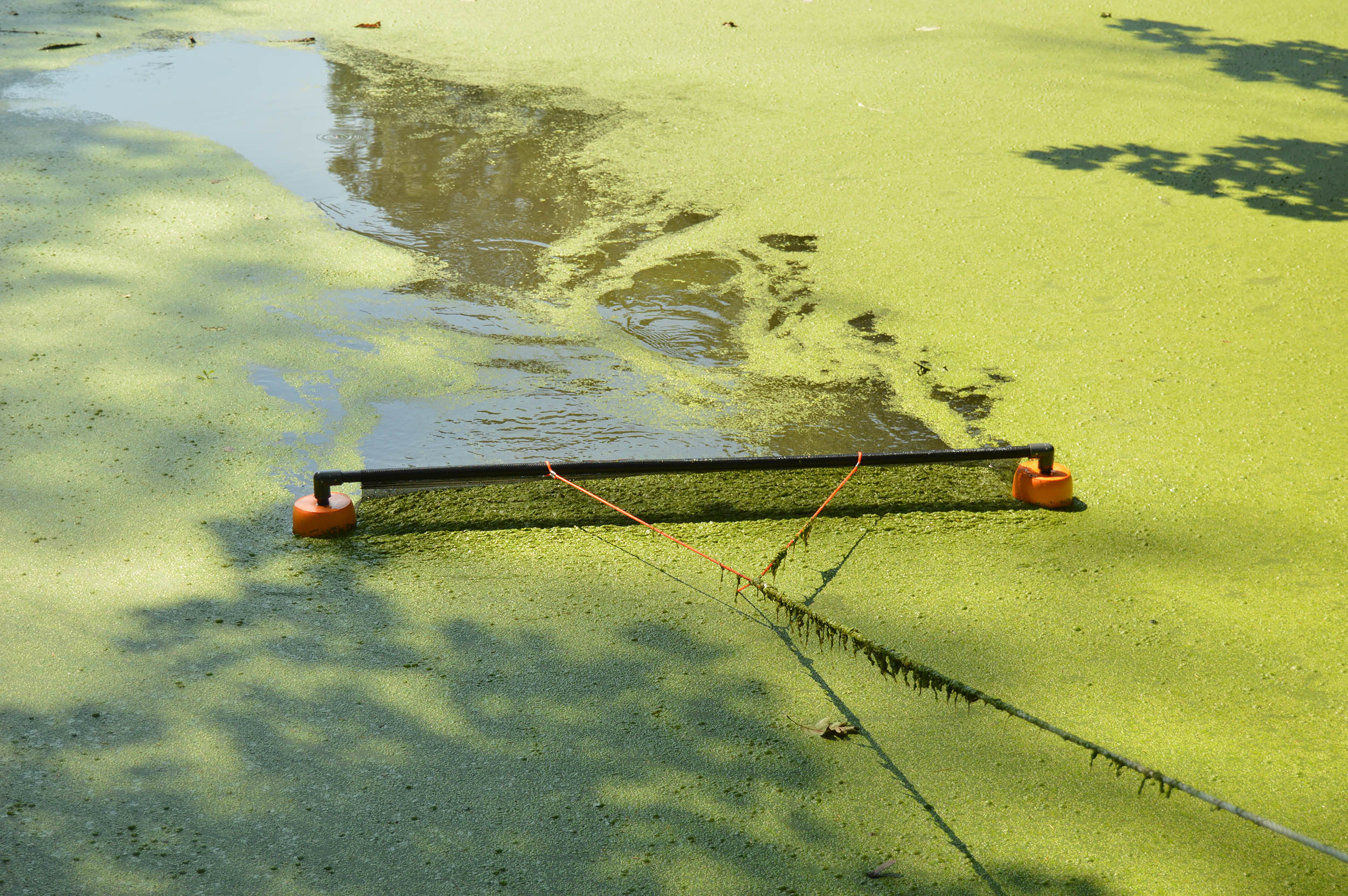 DeSkuzzer being dragged back to shore by rope
