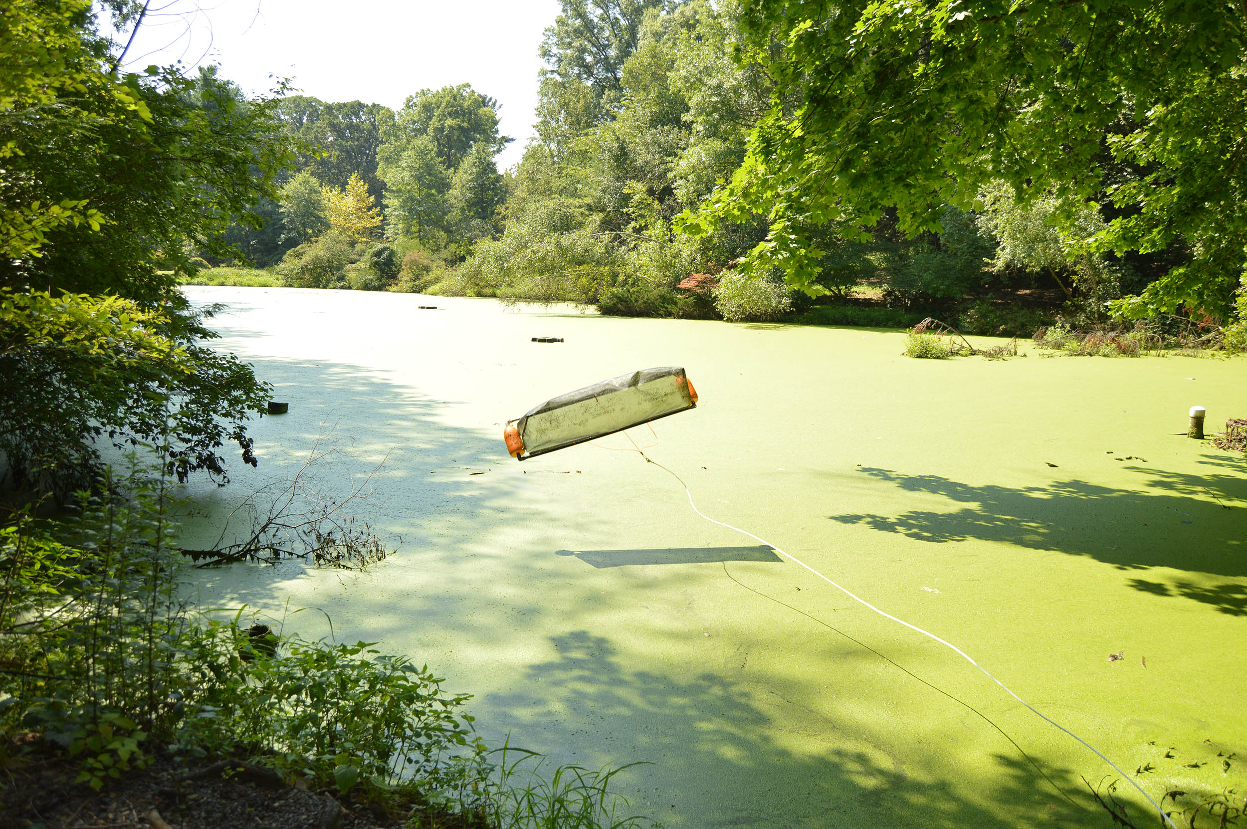 Throwing the DeSkuzzer out over the water